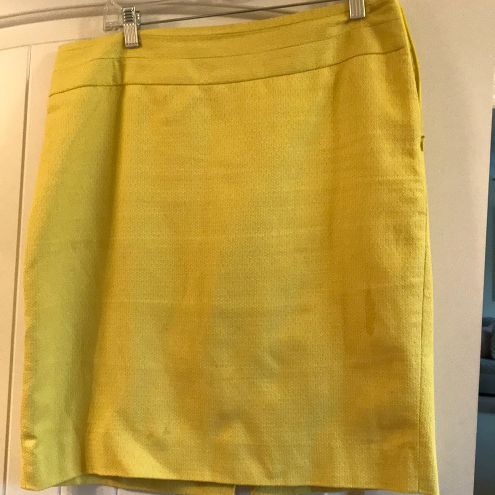The Limited skirt